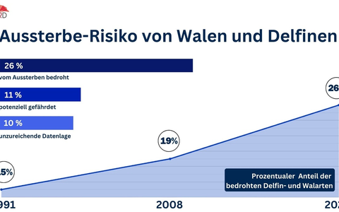 Jede vierte Wal- und Delfinart vom Aussterben bedroht - Pressemitteilung zum Tag des Artenschutzes am 3. März 2024 - Foto: presseportal.de