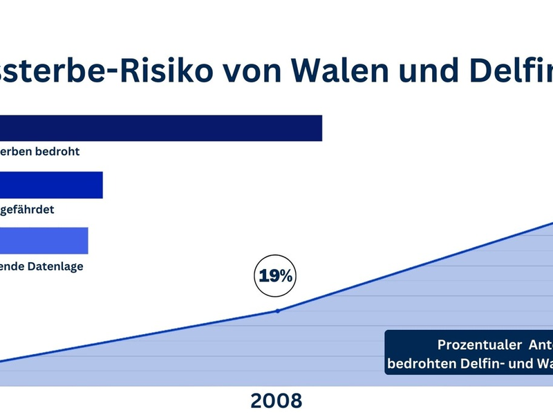 Jede vierte Wal- und Delfinart vom Aussterben bedroht - Pressemitteilung zum Tag des Artenschutzes am 3. März 2024 - Foto: presseportal.de