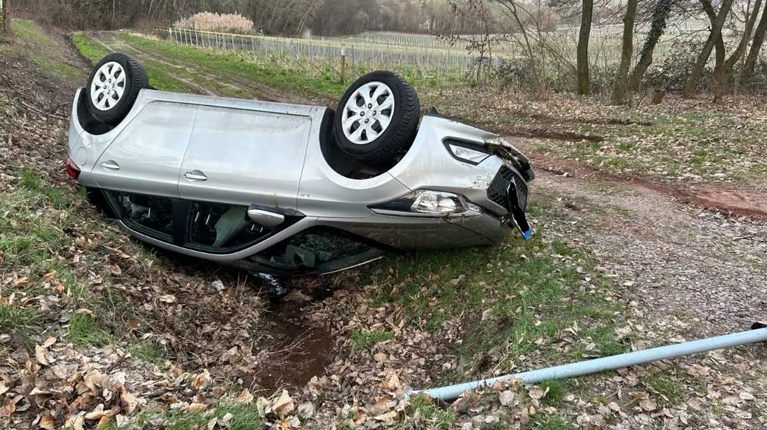 POL-PDLD: Edenkoben - Von der Fahrbahn abgekommen - Bild: presseportal.de