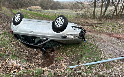POL-PDLD: Edenkoben - Von der Fahrbahn abgekommen - Foto: presseportal.de