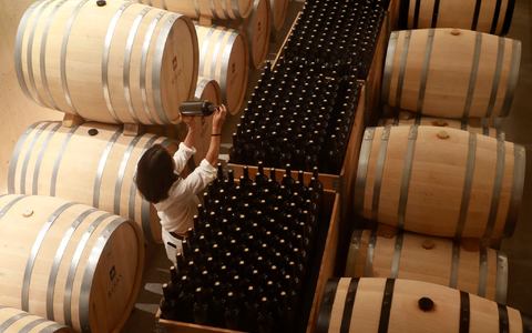 Seit Anfang 2023 wurden mehr als 105 Millionen Euro an EU-Geldern fĂŒr die sogenannte Krisendestillation von europĂ€ischem Wein gezahlt. - Foto: Clara Margais/dpa Seit Anfang 2023 wurden mehr als 105 Millionen Euro an EU-Geldern fĂŒr die sogenannte Krisendestillation von europĂ€ischem Wein gezahlt. - Foto: Clara Margais/dpa