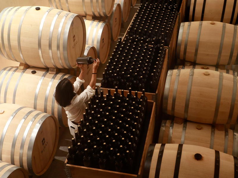 Seit Anfang 2023 wurden mehr als 105 Millionen Euro an EU-Geldern für die sogenannte Krisendestillation von europäischem Wein gezahlt. - Foto: Clara Margais/dpa