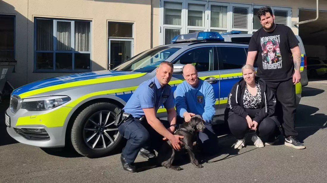 POL-OH: Tierische Freunde nach Verkehrsunfall - Bild: presseportal.de