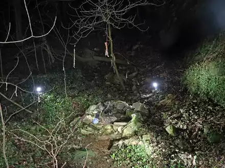 POL-ME: Tierkadaver aufgefunden - die Polizei bittet um Zeugenhinweise - Mettmann - 2402102 - Foto: presseportal.de