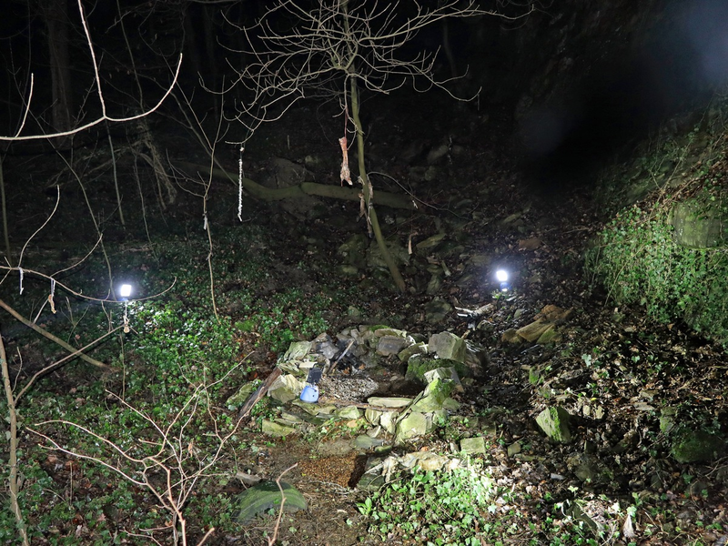 POL-ME: Tierkadaver aufgefunden - die Polizei bittet um Zeugenhinweise - Mettmann - 2402102 - Foto: presseportal.de