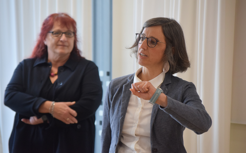 Vortrag - Foto: PH NÖ / Fikisz über pressetext.de