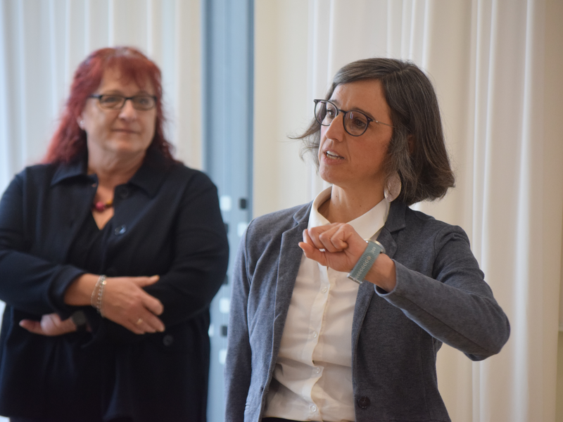 Vortrag - Foto: PH NÖ / Fikisz über pressetext.de