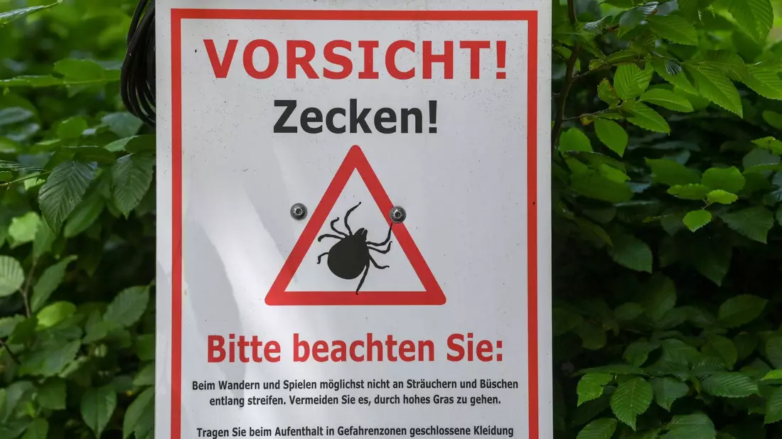 Warnschilder liefern oft auch Hinweise, wie man sich vor Zeckenstichen schützen kann. (Archivbild) - Bild: Jens Kalaene/dpa-Zentralbild/dpa