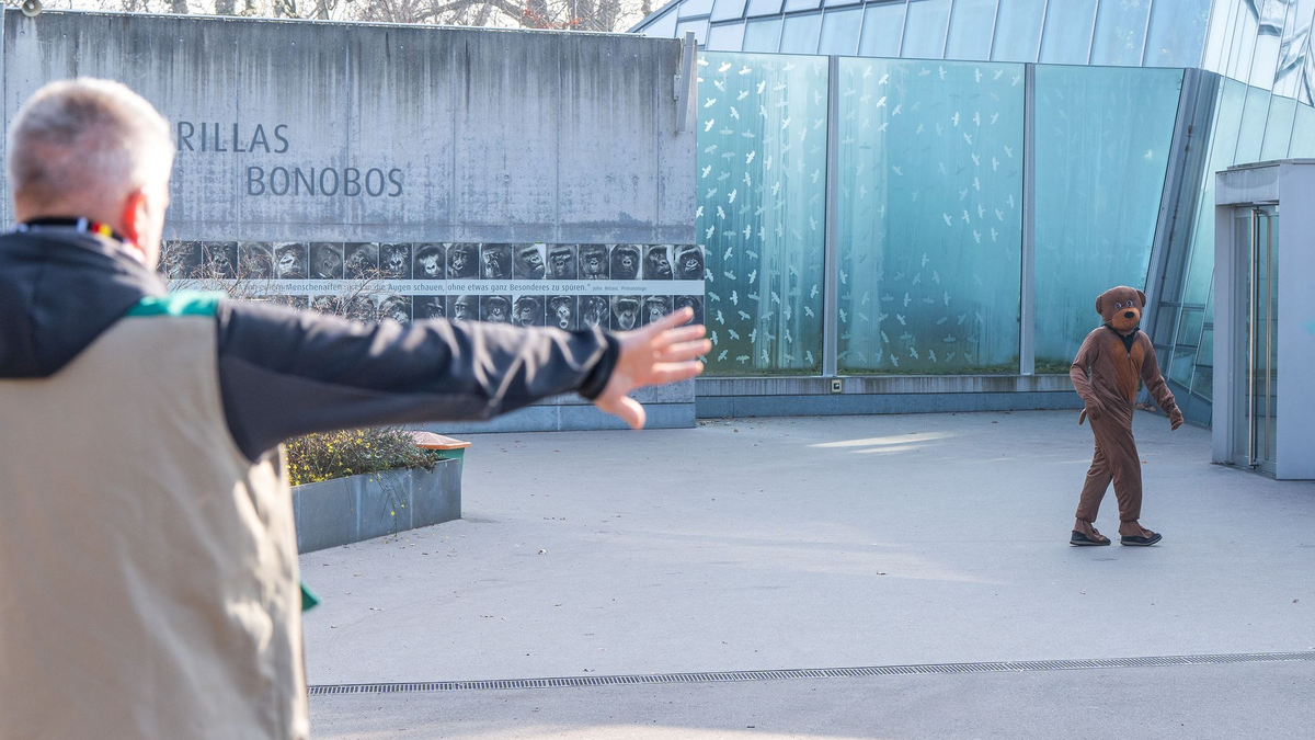 Der «Bär» wurde gestellt. - Foto: Birger Meierjohann/Wilhelma Stuttgart /dpa