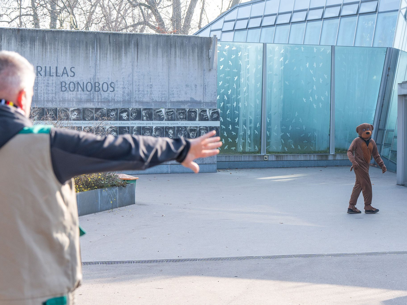 Der «Bär» wurde gestellt. - Foto: Birger Meierjohann/Wilhelma Stuttgart /dpa