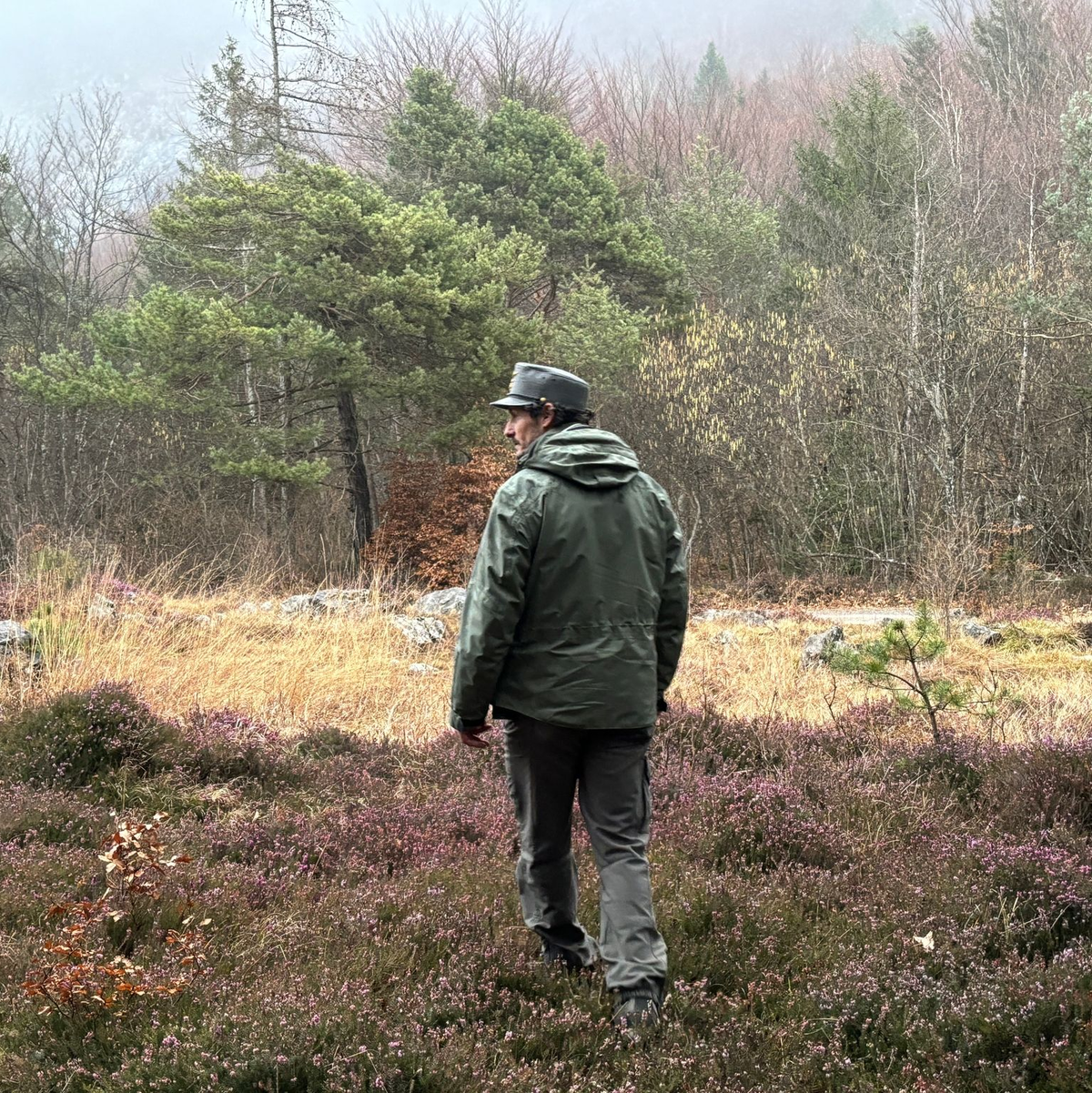 Schilder warnen im Trentino vor Bären. (Archivfoto) - Foto: Robert Messer/dpa