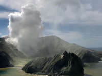 Bei der Eruption auf der Vulkaninsel Whakaari/White Island im Dezember 2019 kamen 22 Menschen ums Leben. - Foto: -/XinHua/dpa
