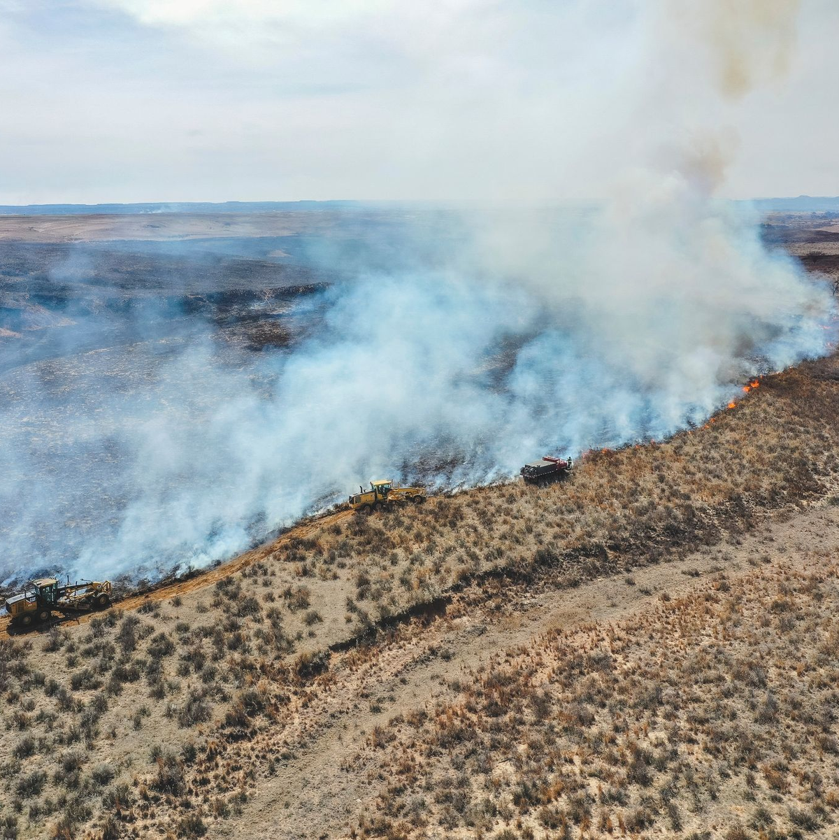Feuerwehrleute bekämpfen das Smokehouse Creek Fire nördlich von Canadian in Texas. - Foto: David Erickson/AP/dpa