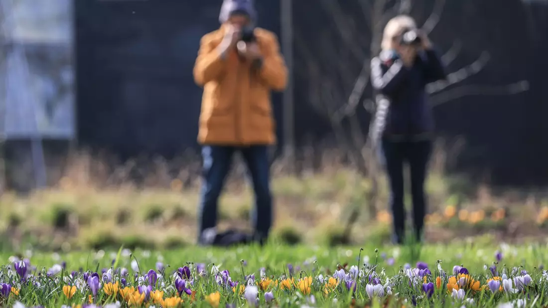 Der Frühling hält Einzug in Deutschland. - Bild: Oliver Berg/dpa