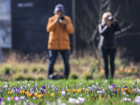 Der Frühling hält Einzug in Deutschland. - Foto: Oliver Berg/dpa