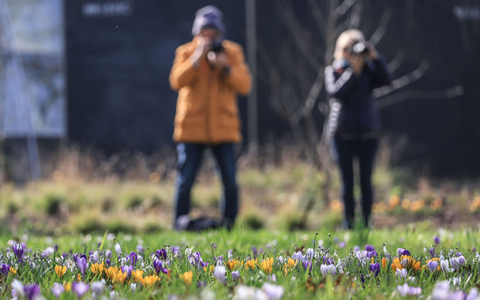 Der Frühling hält Einzug in Deutschland. - Foto: Oliver Berg/dpa