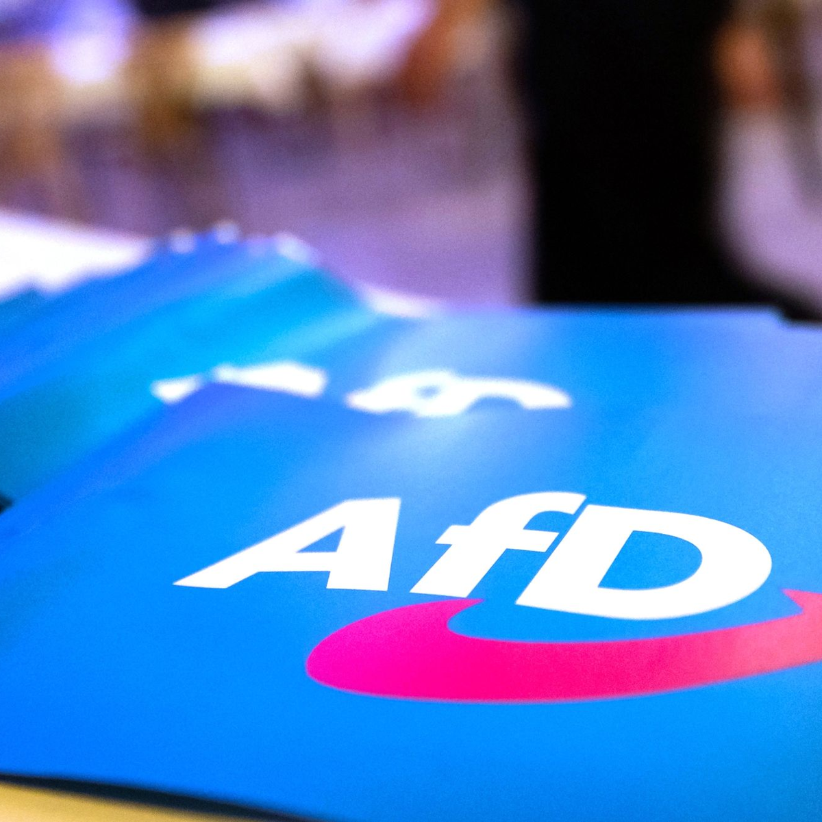 Wirbel um AfD-Großspende. (Symbolbild) - Foto: Daniel Karmann/dpa