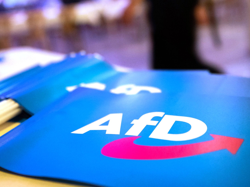 Wirbel um AfD-Großspende. (Symbolbild) - Foto: Daniel Karmann/dpa