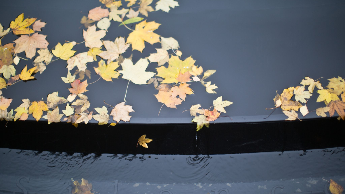 Berlin: Gedenkstätte für die im Nationalsozialismus ermordeten Sinti und Roma. - Foto: Michael Kappeler/dpa