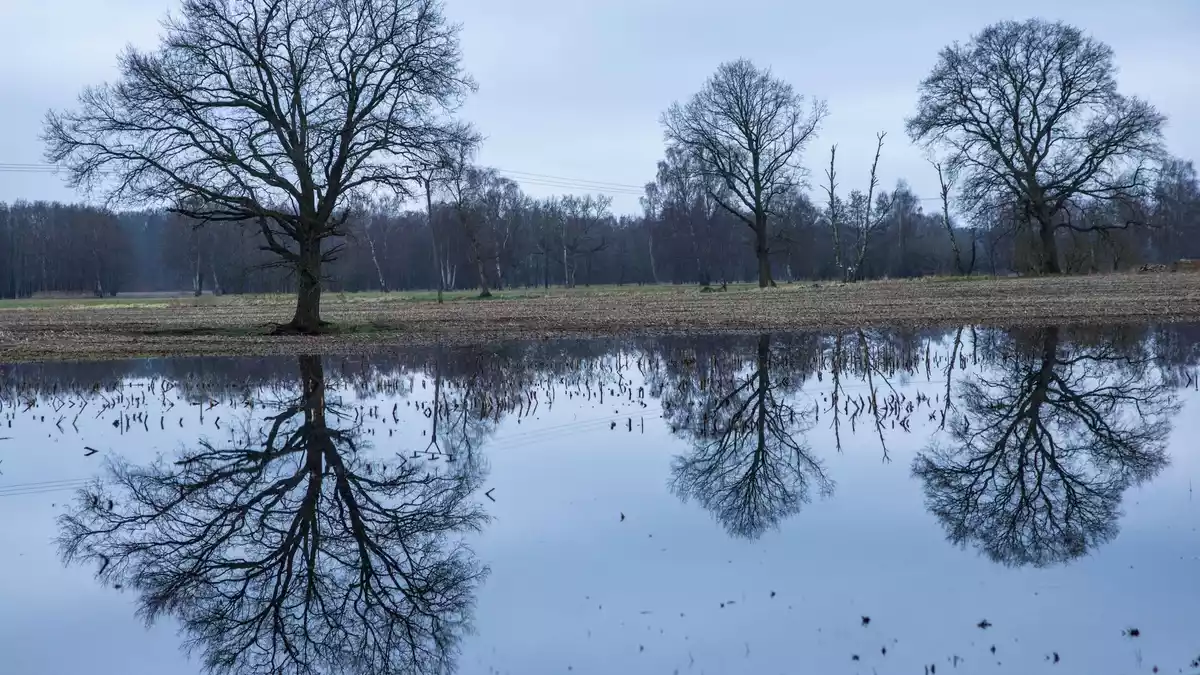 Nach einem regenreichen Winter mit Überschwemmungen hoffen die Landwirte auf einen trockenen Frühling. - Bild: Jens Büttner/dpa