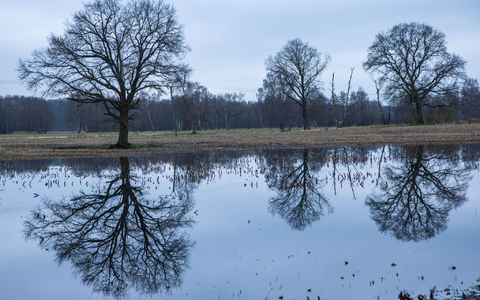 Nach einem regenreichen Winter mit Überschwemmungen hoffen die Landwirte auf einen trockenen Frühling. - Foto: Jens Büttner/dpa