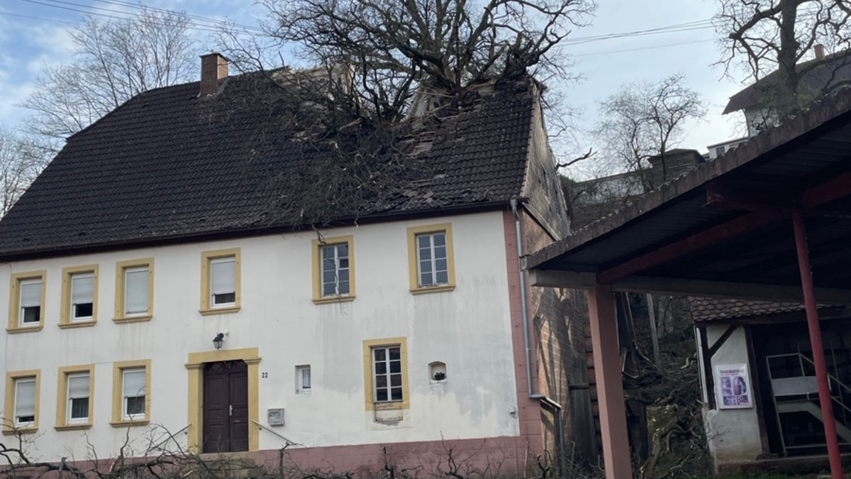POL-PPWP: Baum stürzt in unbewohntes Gebäude - Foto: presseportal.de