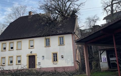 POL-PPWP: Baum stürzt in unbewohntes Gebäude - Foto: presseportal.de