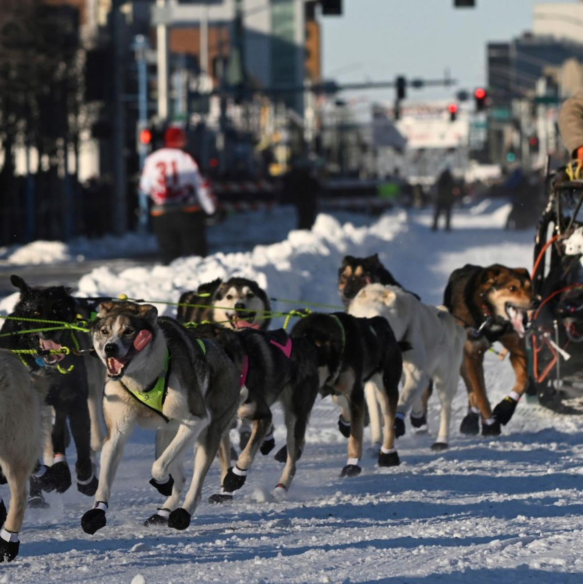 Mats Pettersson aus Schweden beim Iditarod -Schlittenhunderennen in Anchorage, Alaska. - Foto: Bob Hallinen/Anchorage Daily News via AP/dpa