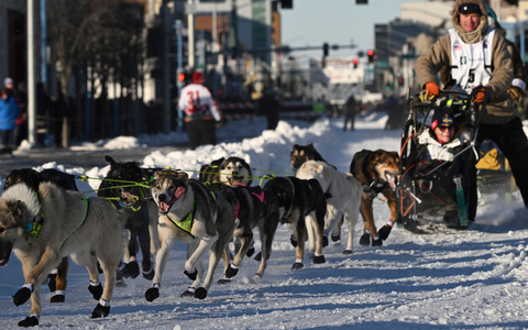 Mats Pettersson aus Schweden beim Iditarod -Schlittenhunderennen in Anchorage, Alaska. - Foto: Bob Hallinen/Anchorage Daily News via AP/dpa