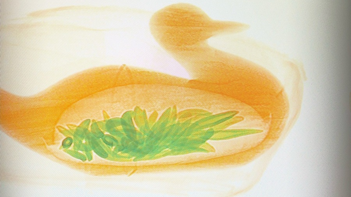 HZA-F: Der ZOLL hilft, bedrohte Tiere und Pflanzen zu schützen 3. März 2024 ist Tag des Artenschutzes - Foto: presseportal.de