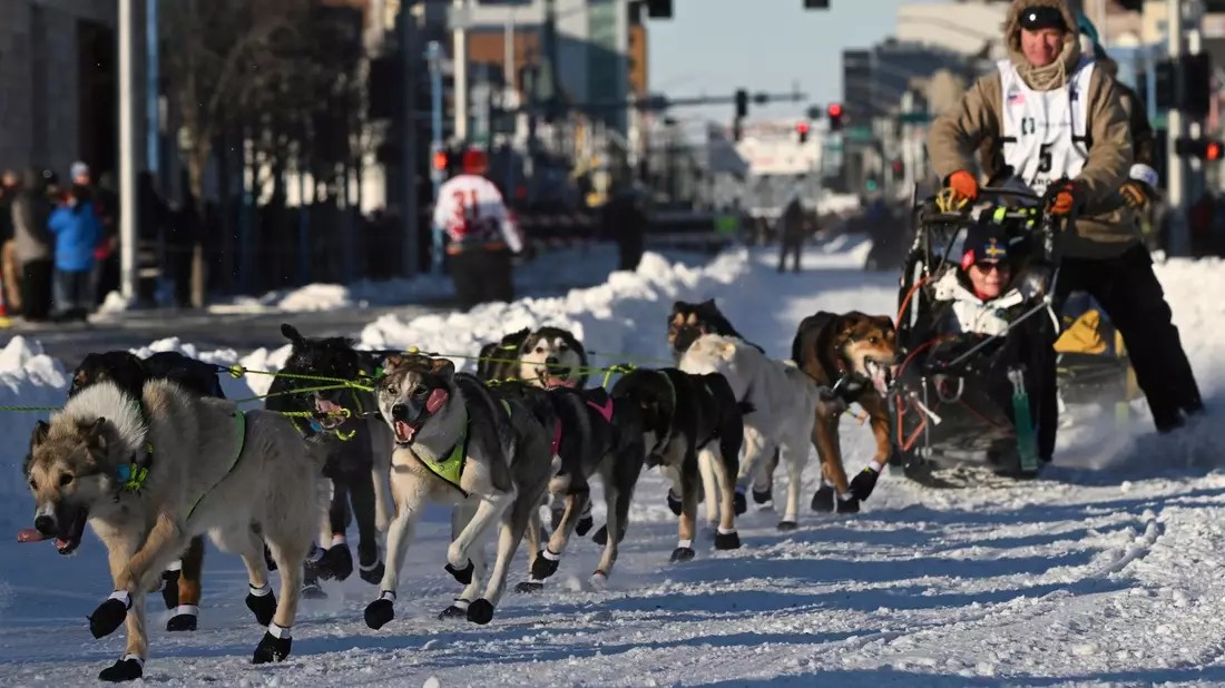 Mats Pettersson aus Schweden beim Iditarod-Hundeschlittenrennen in Anchorage. - Bild: Bob Hallinen/Anchorage Daily News via AP/dpa