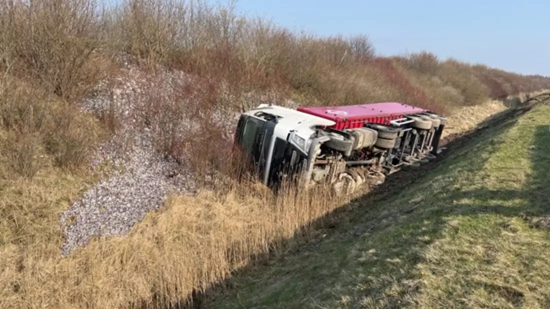 POL-HST: Happy Meal für Möwen - Fischlaster verliert nach Verkehrsunfall komplette Ladung - Bild: presseportal.de