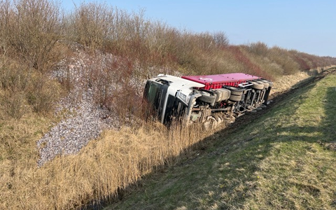 POL-HST: Happy Meal für Möwen - Fischlaster verliert nach Verkehrsunfall komplette Ladung - Foto: presseportal.de