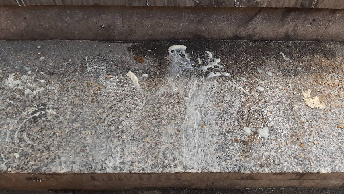 BPOLD-B: Frittieröl auf Bahnhofstreppe: Bundespolizei sucht nach Zeugen - Foto: presseportal.de