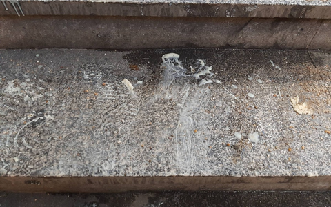 BPOLD-B: Frittieröl auf Bahnhofstreppe: Bundespolizei sucht nach Zeugen - Foto: presseportal.de