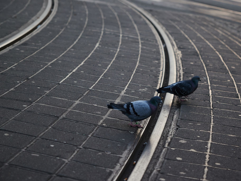 An vielen Stellen geht es gerade darum, wie der Wohlstand verteilt wird, und die Stimmung ist mitunter gereizt. Sind da auch Streiks in Deutschland mittlerweile härter als früher? - Foto: Joerg Carstensen/dpa