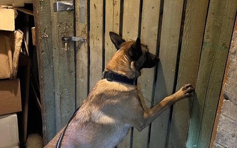 HZA-B: Zollhund findet 280 Kg Wasserpfeifentabak/ Verbundeinsatz von Zoll, LKA und Steuerfahndung - Foto: presseportal.de HZA-B: Zollhund findet 280 Kg Wasserpfeifentabak/ Verbundeinsatz von Zoll, LKA und Steuerfahndung - Foto: presseportal.de