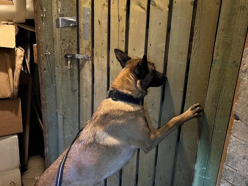 HZA-B: Zollhund findet 280 Kg Wasserpfeifentabak/ Verbundeinsatz von Zoll, LKA und Steuerfahndung - Foto: presseportal.de