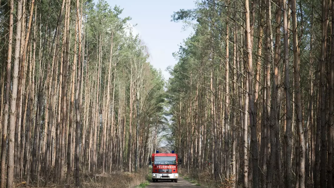 Die Feuerwehr auf dem Weg zum brennenden Strommast. - Bild: Sebastian Gollnow/dpa
