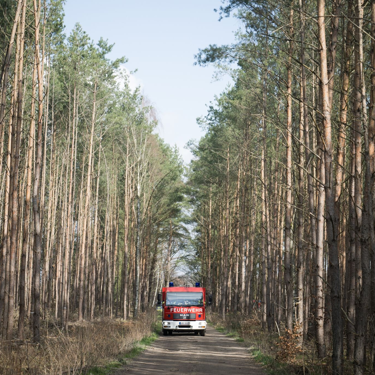 Die Feuerwehr auf dem Weg zum brennenden Strommast. - Foto: Sebastian Gollnow/dpa