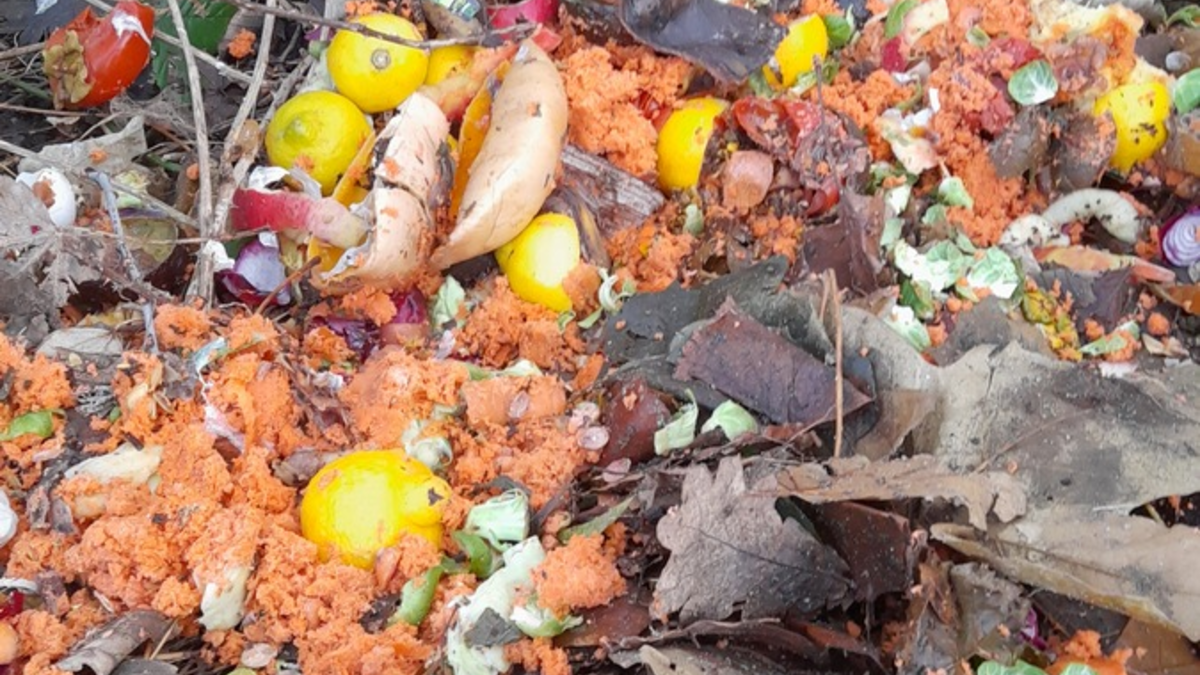 POL-FL: Friedrichstadt: Illegale Entsorgung von Küchenabfällen am Treenedeich - Foto: presseportal.de