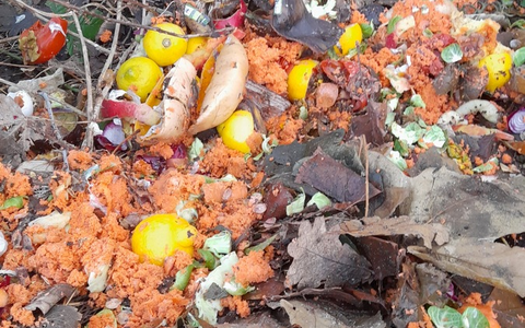 POL-FL: Friedrichstadt: Illegale Entsorgung von Küchenabfällen am Treenedeich - Foto: presseportal.de