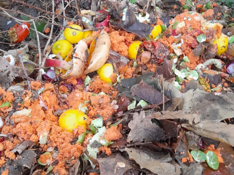 POL-FL: Friedrichstadt: Illegale Entsorgung von Küchenabfällen am Treenedeich - Foto: presseportal.de