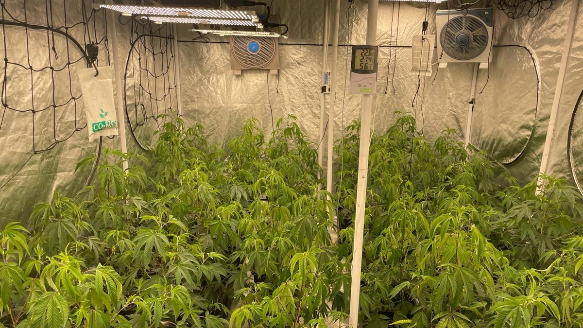 POL-UL: (GP) Aichelberg - Gemeinsame Pressemitteilung von Staatsanwaltschaft Ulm und Polizei - Foto: presseportal.de