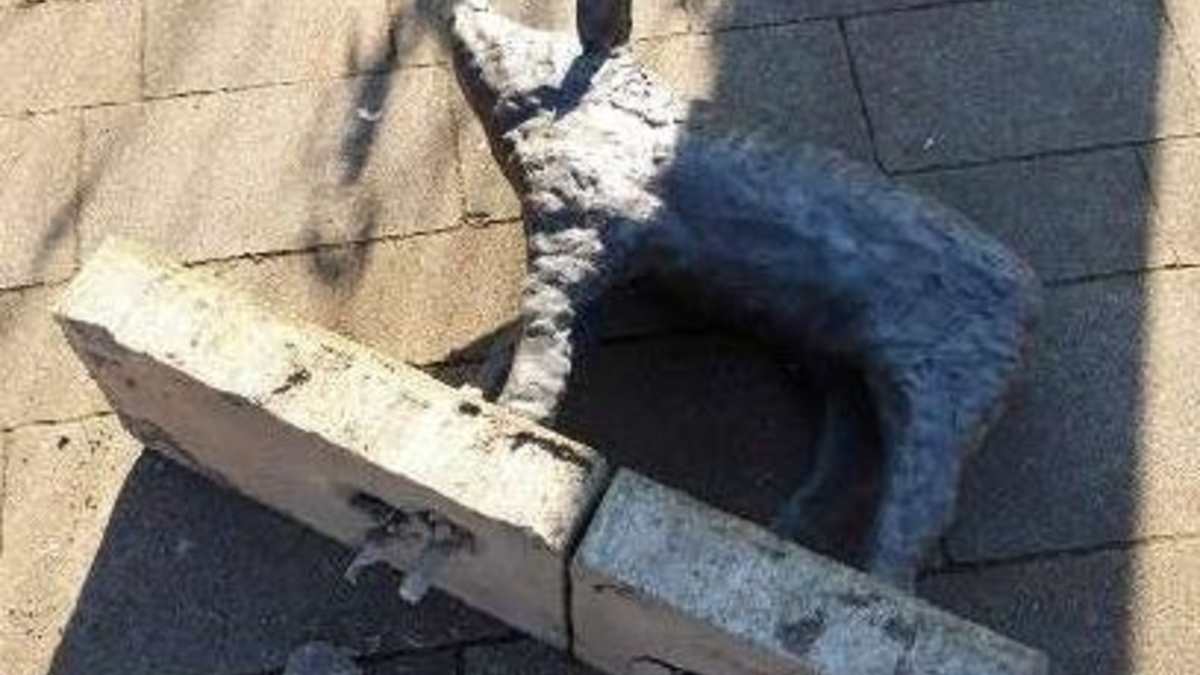 POL-OS: Hagen: Schweinerei - Unbekannte beschädigen Ferkelfigur - Foto: presseportal.de