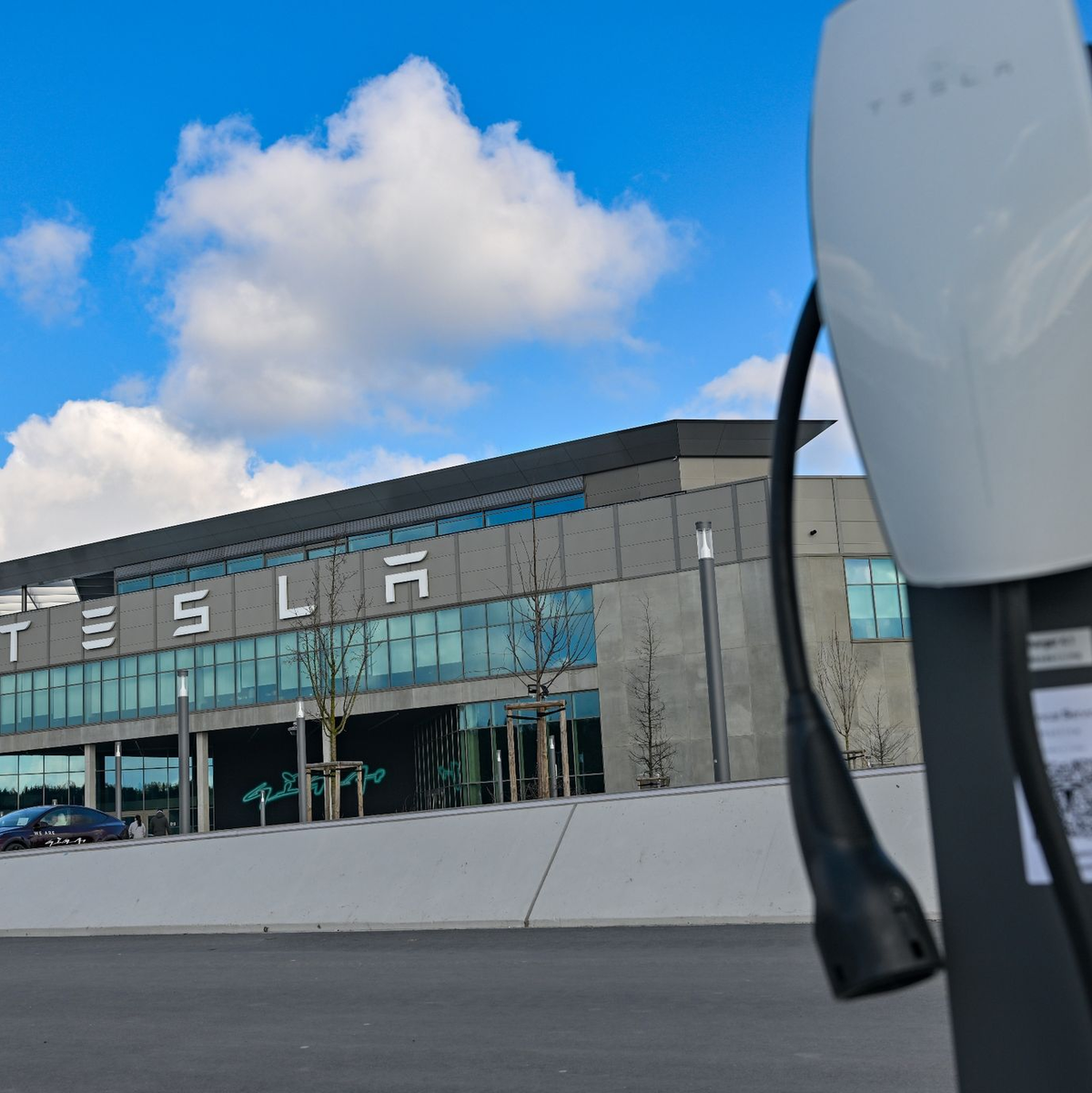 Die Tesla-Gigafactory in Grünheide. - Foto: Patrick Pleul/dpa