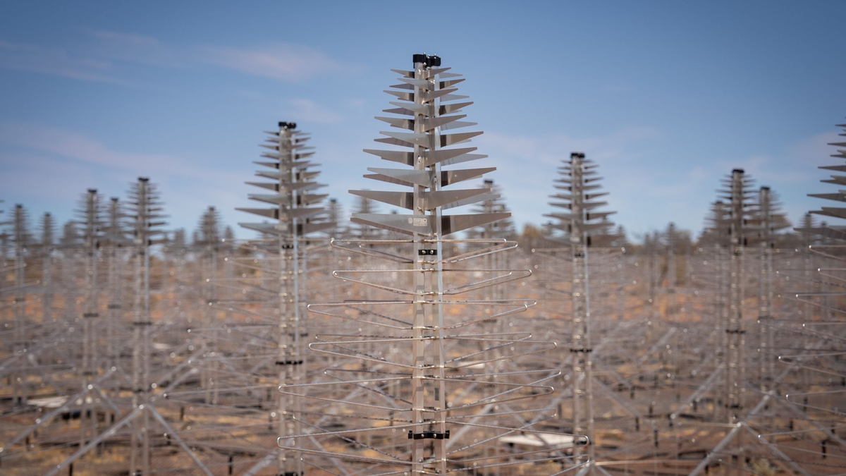 Bereits im Oktober 2023 wurden Prototypen der SKA-Low-Antennen in dem Murchison-Radioastronomie-Observatorium installiert. - Foto: Ska Observatory/SKA OBSERVATORY/AAP/dpa