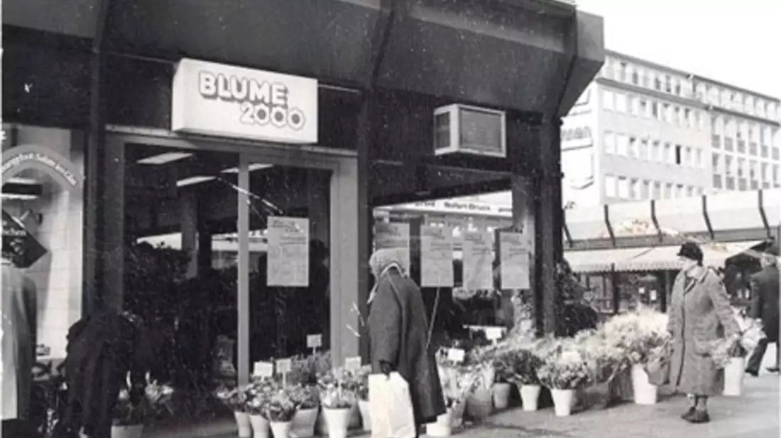 Hipp hipp hurray: BLUME2000 feiert am 08.03.2024 50-jähriges Jubiläum / Seit 1974 mehr Grün ins Leben der Menschen - Bild: presseportal.de