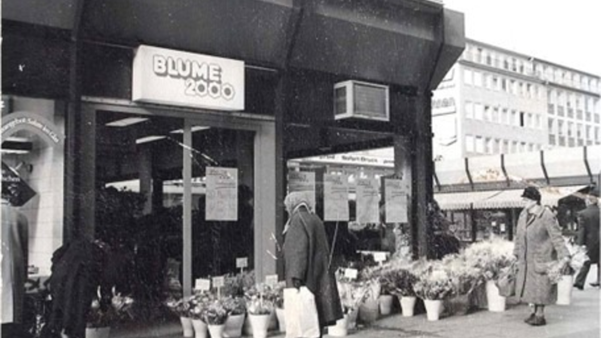 Hipp hipp hurray: BLUME2000 feiert am 08.03.2024 50-jähriges Jubiläum / Seit 1974 mehr Grün ins Leben der Menschen - Foto: presseportal.de