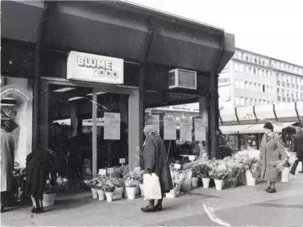 Hipp hipp hurray: BLUME2000 feiert am 08.03.2024 50-jähriges Jubiläum / Seit 1974 mehr Grün ins Leben der Menschen - Foto: presseportal.de
